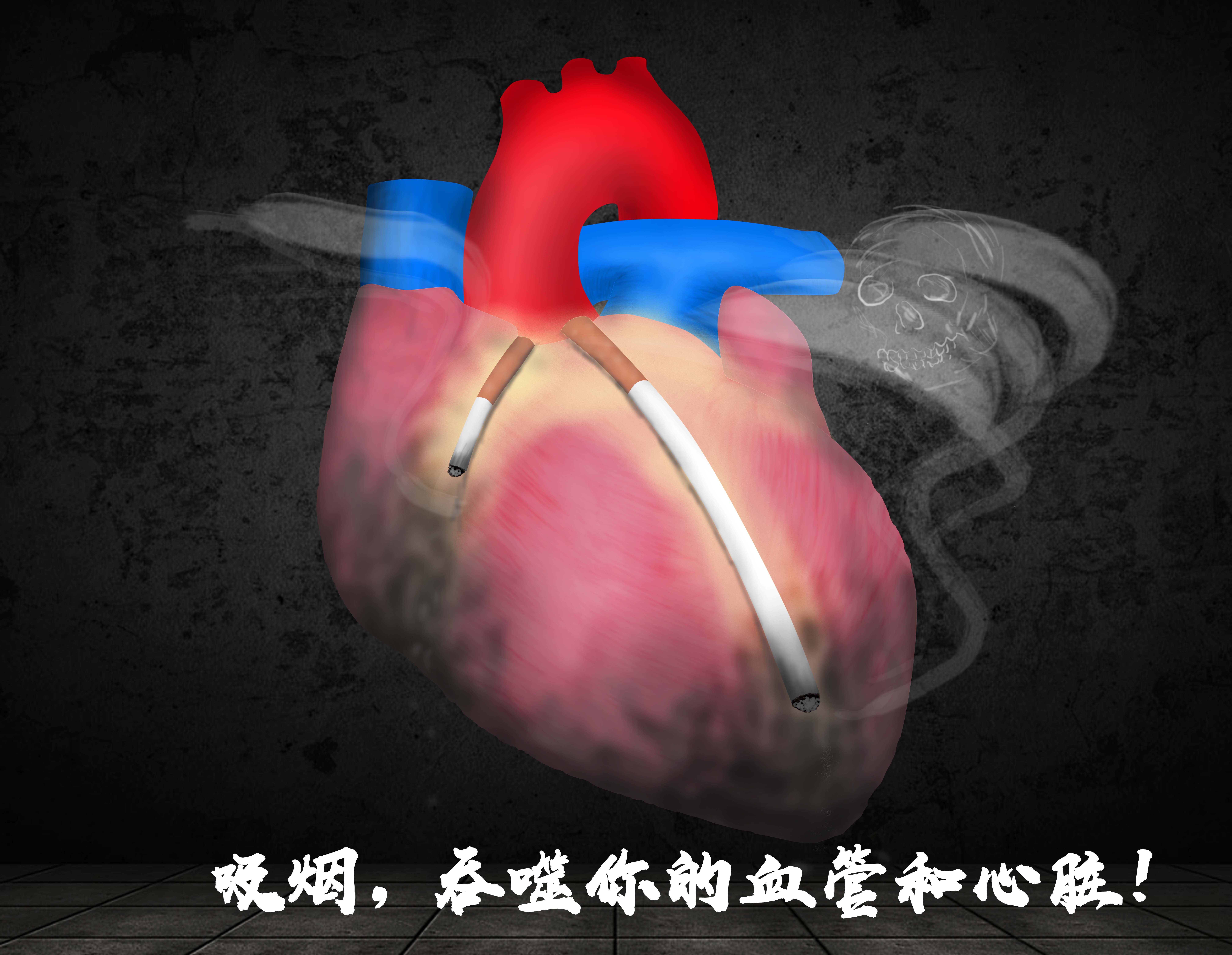 11.林春锦 干部特诊一科 主治医师《吸烟,吞噬你的血管和心脏!》.jpg